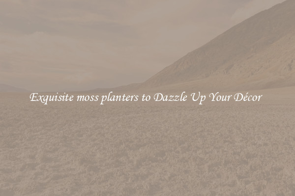 Exquisite moss planters to Dazzle Up Your Décor  
