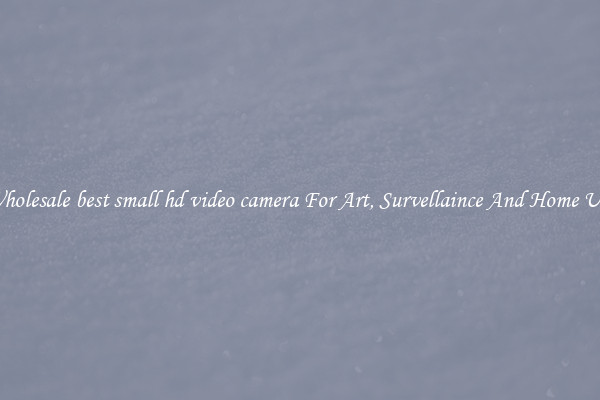 Wholesale best small hd video camera For Art, Survellaince And Home Use