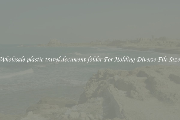 Wholesale plastic travel document folder For Holding Diverse File Sizes