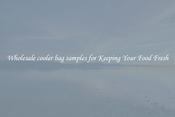 Wholesale cooler bag samples for Keeping Your Food Fresh