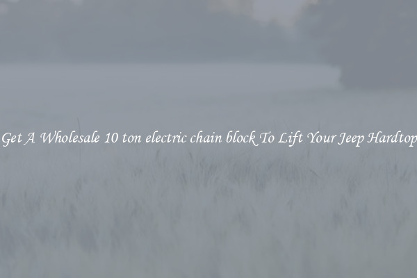 Get A Wholesale 10 ton electric chain block To Lift Your Jeep Hardtop