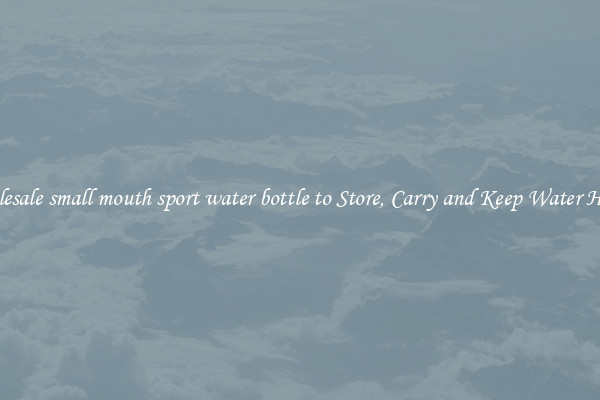 Wholesale small mouth sport water bottle to Store, Carry and Keep Water Handy