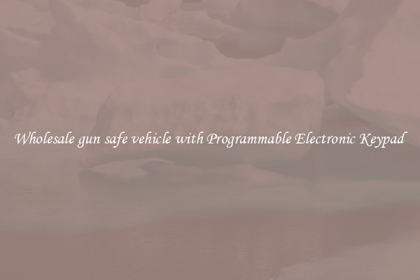 Wholesale gun safe vehicle with Programmable Electronic Keypad 