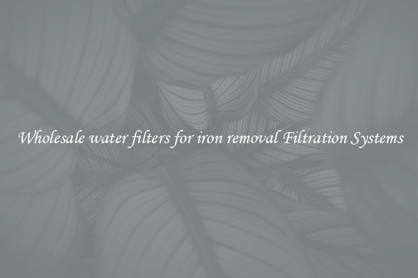 Wholesale water filters for iron removal Filtration Systems