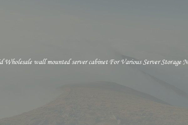 Solid Wholesale wall mounted server cabinet For Various Server Storage Needs