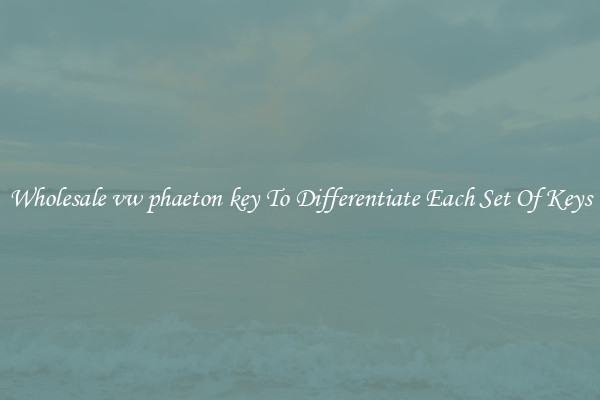 Wholesale vw phaeton key To Differentiate Each Set Of Keys