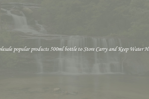 Wholesale popular products 500ml bottle to Store Carry and Keep Water Handy