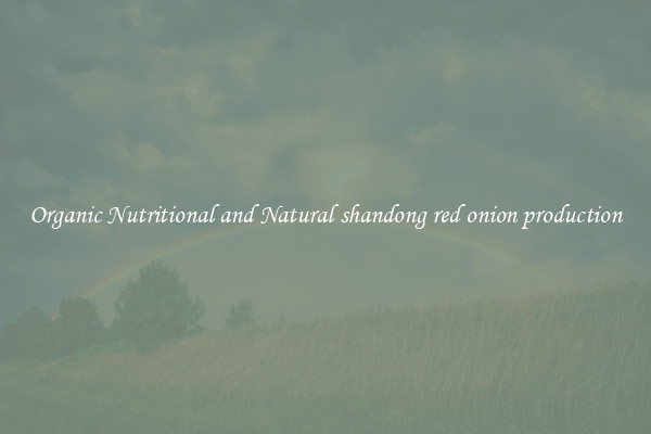 Organic Nutritional and Natural shandong red onion production