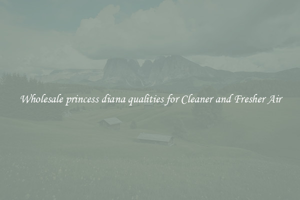 Wholesale princess diana qualities for Cleaner and Fresher Air