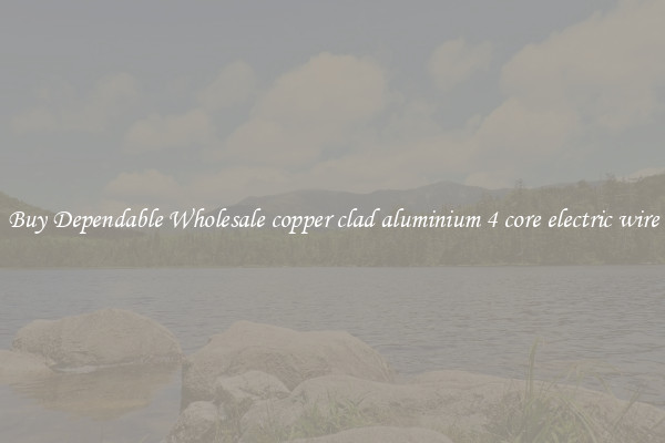 Buy Dependable Wholesale copper clad aluminium 4 core electric wire