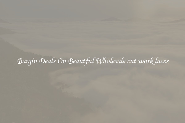 Bargin Deals On Beautful Wholesale cut work laces