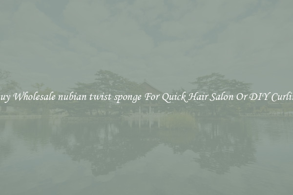 Buy Wholesale nubian twist sponge For Quick Hair Salon Or DIY Curling