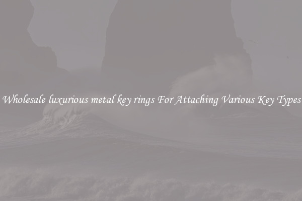 Wholesale luxurious metal key rings For Attaching Various Key Types